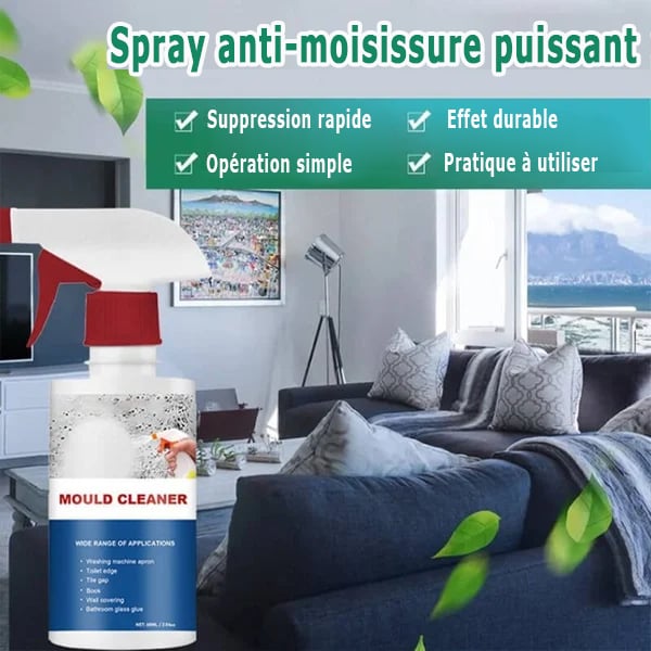 Spray Anti-Moisissure By-WaouhShop