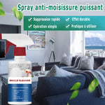 Charger l&#39;image dans la galerie, Spray Anti-Moisissure By-WaouhShop
