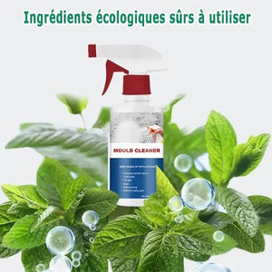 Spray Anti-Moisissure By-WaouhShop